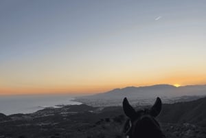 Horseback riding in Montes Málaga Natural Park - 1 hour