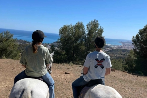 Horseback riding in Montes Málaga Natural Park - 1 hour