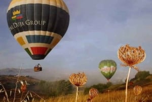 Hot air balloon ride in Antequera (Malaga)