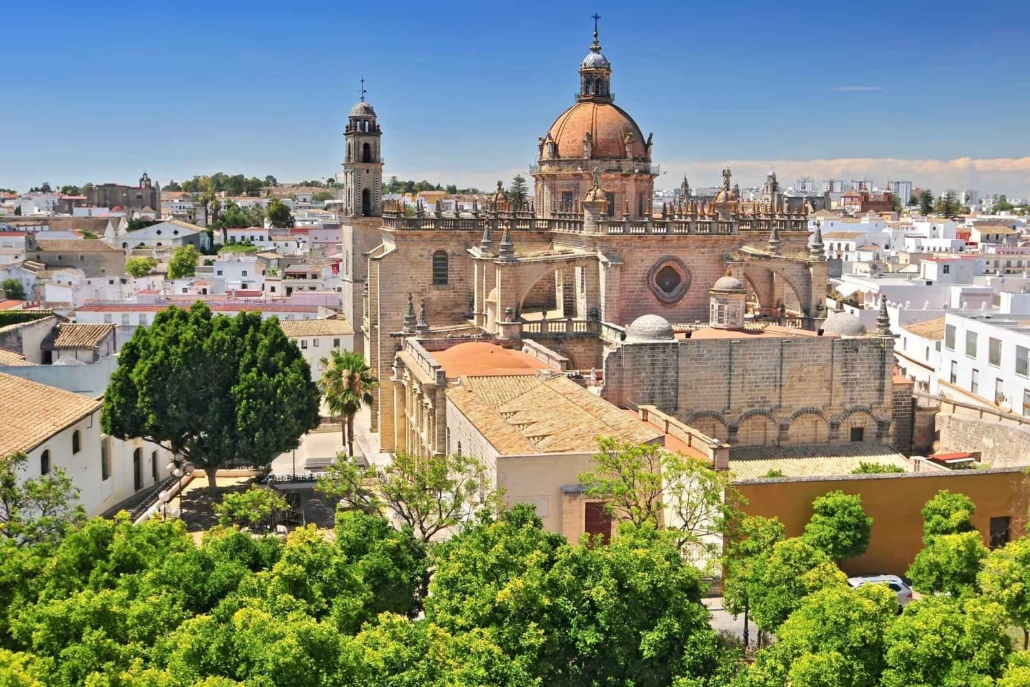 Jerez a partir da Costa del Sol: adegas com prova de vinhos e espetáculo equestre