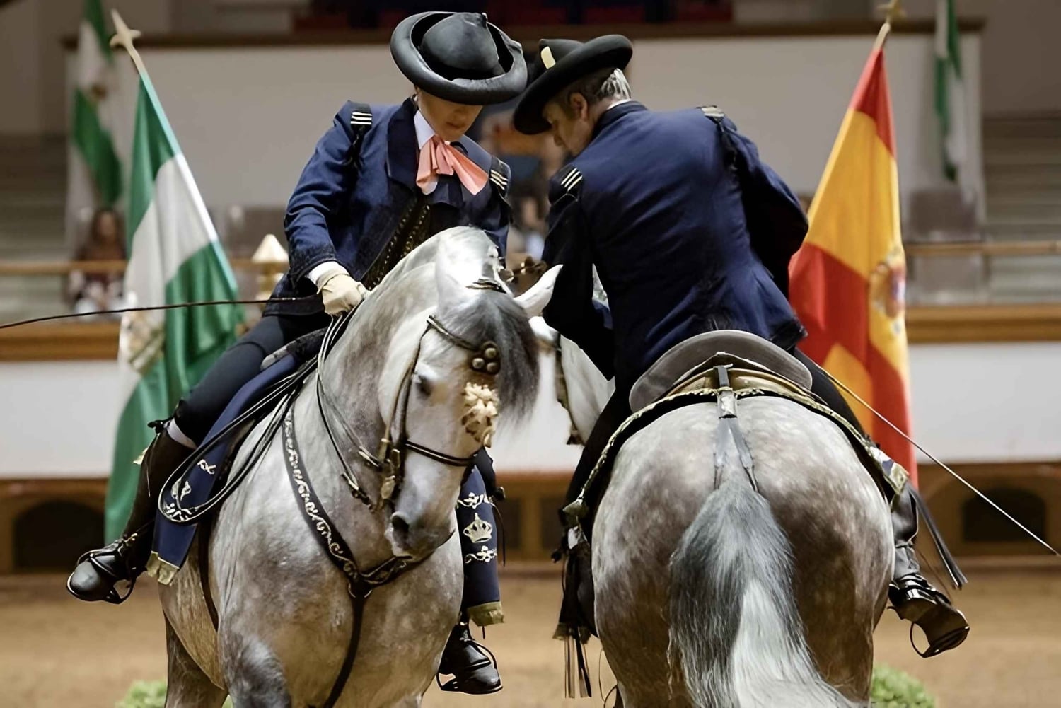 Jerez a partir da Costa del Sol: adegas com prova de vinhos e espetáculo equestre