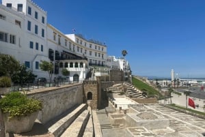 Day trip to Tangier Morocco from Malaga All inclusive