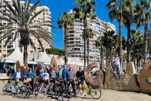 Malaga: Guided Bike Tour