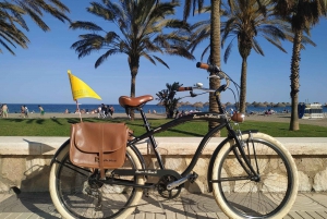 Malaga: Geführte Fahrradtour