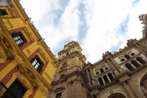 Malaga: 1,5 timmars rundvandring