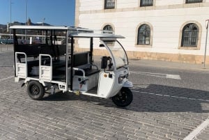 Málaga 1 time med TukTuki: Væsentlig og privat tur