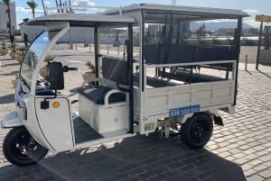 Málaga 1 time med TukTuki: Væsentlig og privat tur