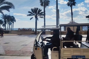 Málaga 1 time med TukTuki: Væsentlig og privat tur
