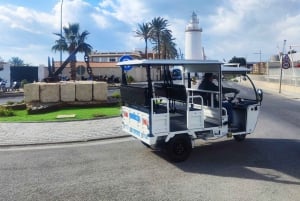 Málaga 1 time med TukTuki: Væsentlig og privat tur