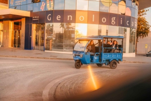 Málaga 1-hour by TukTuki: Essential and Private Tour