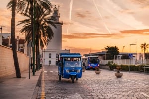 Málaga 1-hour by TukTuki: Essential and Private Tour