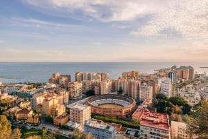 Málaga 1-hour by TukTuki: Essential and Private Tour