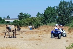 Malaga: Dirt and River Guided Quad Tour (2-Persons Per Quad)