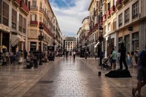 Málaga: 2,5-timers privat fottur