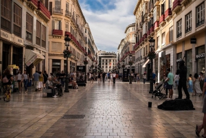 Malaga : visite à pied privée de 2,5 heures