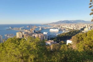 Málaga: Tour guiado de 2 horas pelos destaques da cidade em bicicleta elétrica