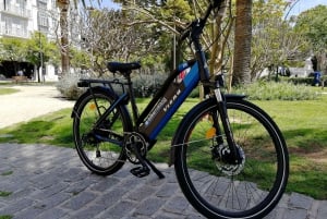 Malaga: 2-Hour Guided City Highlights Tour by Electric Bike