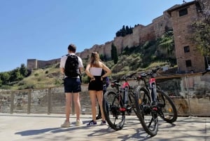 Malaga: Guided E-Bike Tour