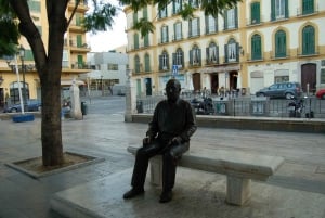 Málaga: visita guiada privada de 2 horas ao Museu Picasso