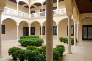 Malaga: 2-godzinna prywatna wycieczka z przewodnikiem do Muzeum Picassa