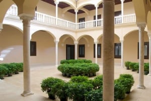 Málaga: 2-Hour Picasso Museum Private Guided Tour