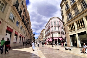 Malaga: 2-Hour Private Walking Tour