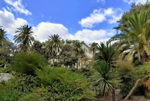 Malaga: 2-Hour Private Walking Tour