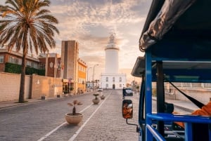 Málaga 2-Hour TukTuki Tour: Private Experience