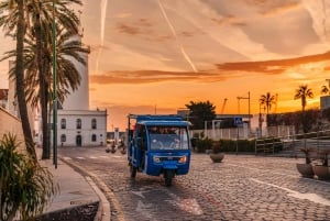 Málaga 2-Hour TukTuki Tour: Private Experience