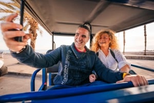 Málaga 2-Hour TukTuki Tour: Private Experience