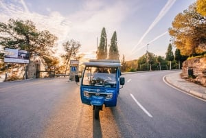 Málaga 2-Hour TukTuki Tour: Private Experience