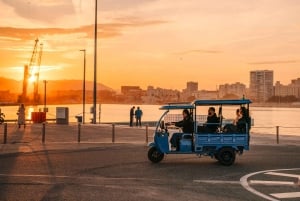 Málaga 2-Hour TukTuki Tour: Private Experience