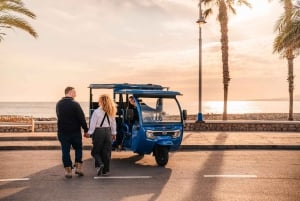 Málaga 2-Hour TukTuki Tour: Private Experience