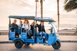 Málaga 2-Hour TukTuki Tour: Private Experience