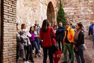 Málaga: 3-Hour City Tour with Alcazaba