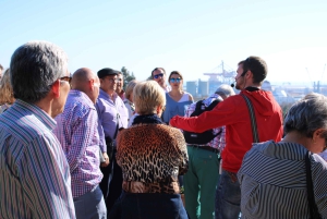 Málaga: tour de la ciudad de 3 horas con Alcazaba