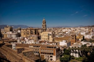 Málaga: Tour a pie completo de 3 horas con entradas