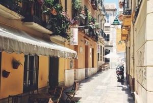 Málaga: 3-timers komplet vandretur med billetter