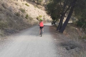 Malaga: Elcykeltur i 3 timmar i Montes de Málaga naturpark