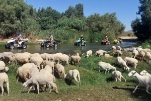 Málaga: 3-Hour Guided All-Terrain Two-Seater Quad Tour