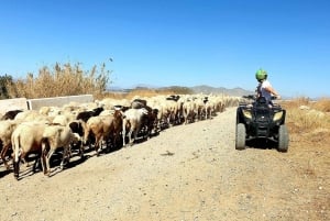 Málaga: 3-Hour Guided All-Terrain Two-Seater Quad Tour