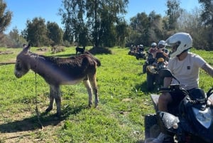 Málaga: 3-Hour Guided All-Terrain Two-Seater Quad Tour