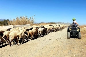 Málaga: 3-Hour Guided All-Terrain Two-Seater Quad Tour