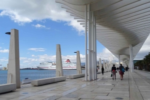 Malaga: Private Walking Tour