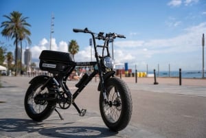Malaga: 4 hours E-Fatbike with Helmet and Lock
