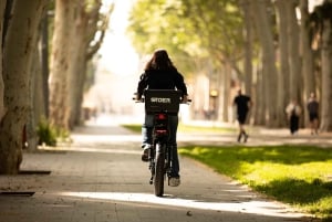 Malaga: 4 hours E-Fatbike with Helmet and Lock