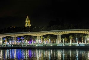 Málaga: Een sterrenzee 's nachts Catamaran Tour
