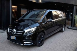 Malaga Airport (AGP): Private Transfer to Granada city