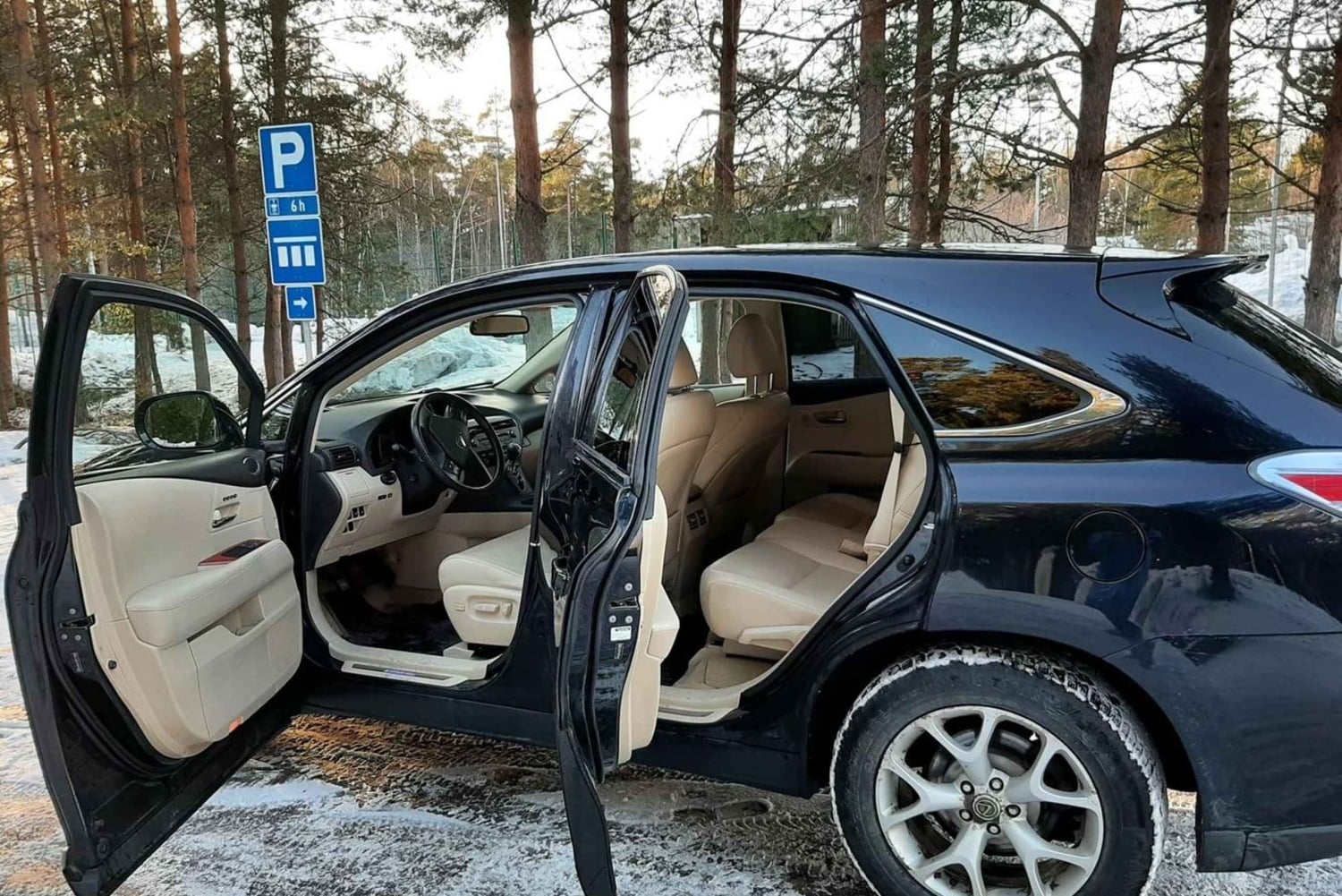 Lotnisko w Maladze (AGP): Prywatny transfer do Marbelli