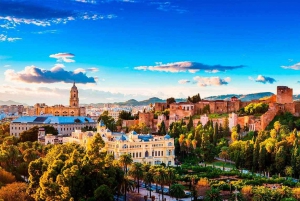 Malaga Airport: Private Transfer to or from Torremolinos